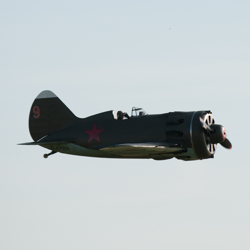 Polikarpow I-16 Typ 24 Rata